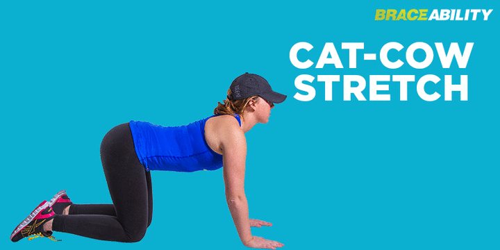 Cat & Cow Stretch for a Back Strain, Pull, or Sprain