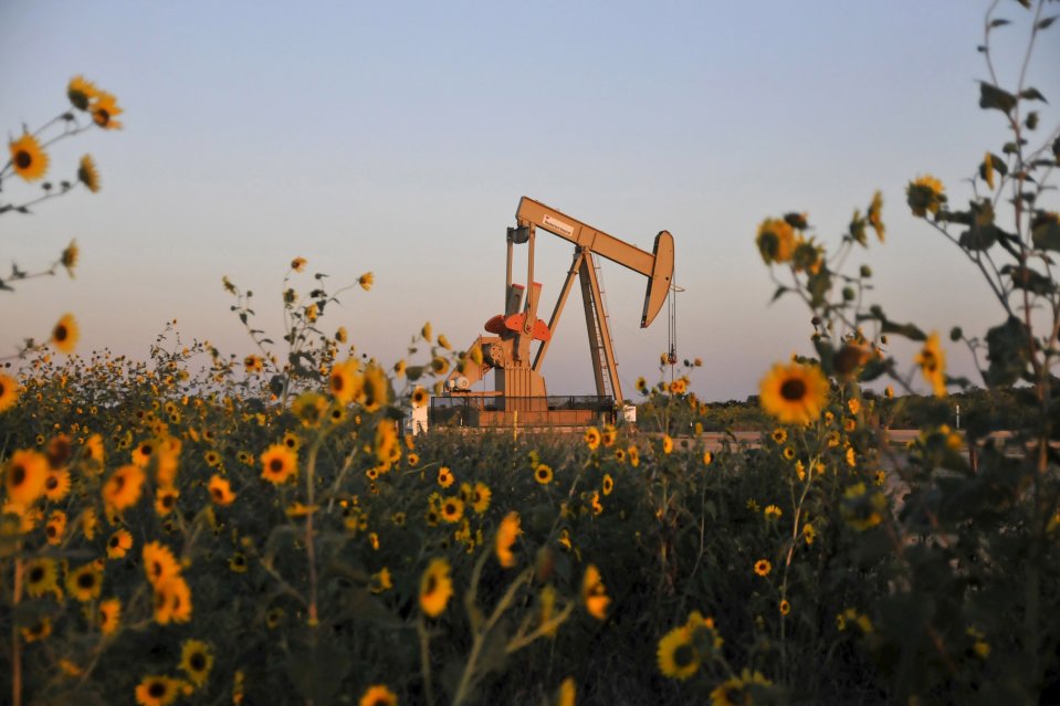 原油和天然气价格在过去12个月大涨逾50%。