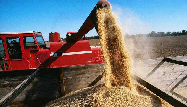 美国豆价飞涨，中国仍加大进口量至2050万吨，为何非得买？