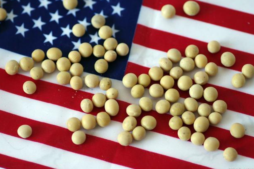 美国豆价飞涨，中国仍加大进口量至2050万吨，为何非得买？