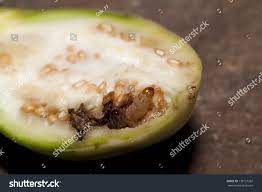 Worm Nontoxic Eggplant Fruit Stock Photo 138157262 | Shutterstock