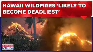 Maui fires likely largest natural disaster in Hawaii's history: governor -  YouTube